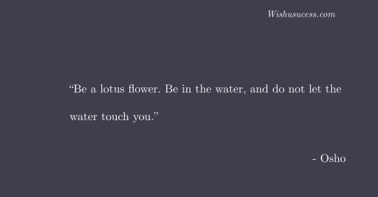 Be a lotus flower - Best Osho Quotes on Life