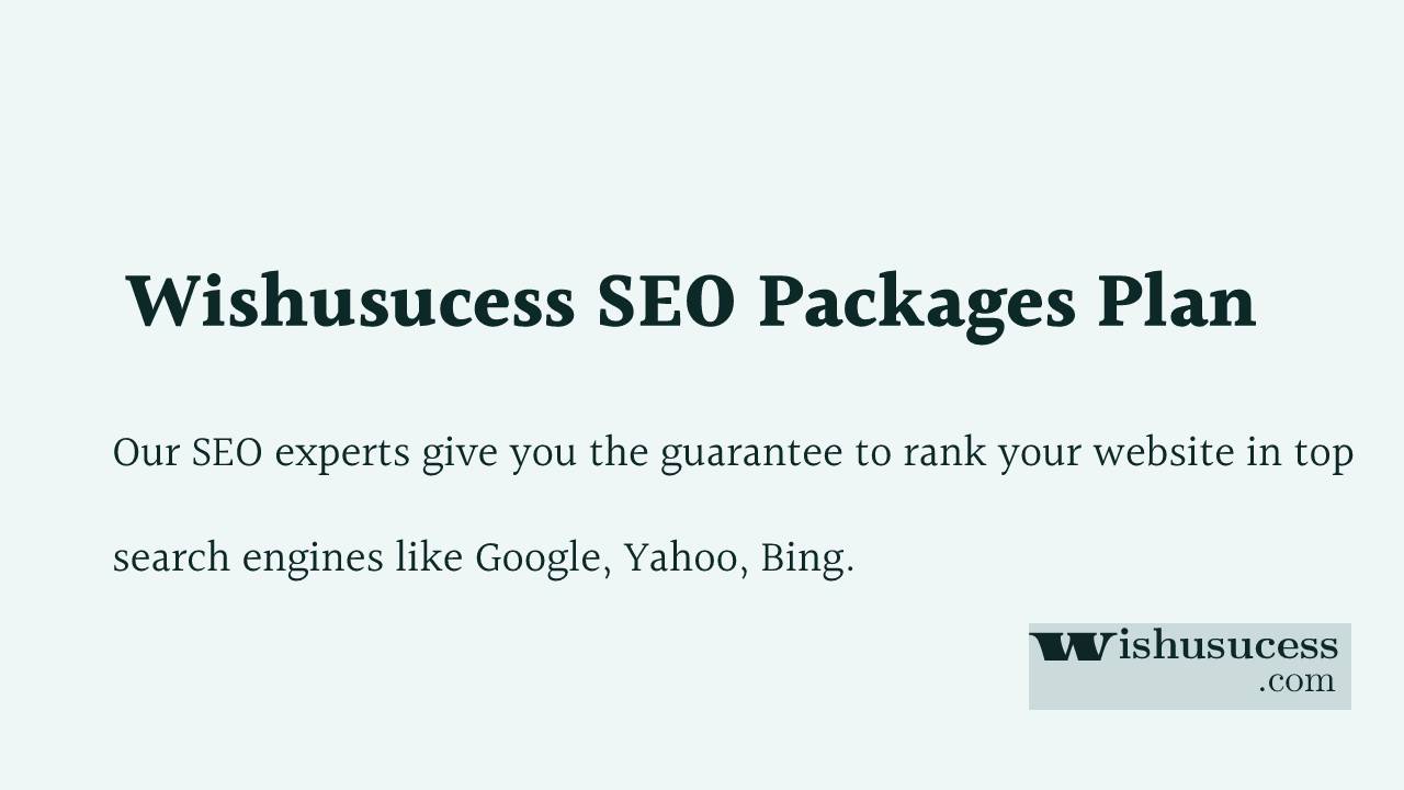 SEO Packages in India