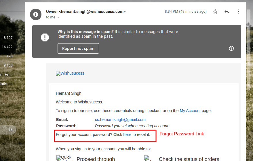 Forgot password Link Mail in Magento 2 Customer Account Update